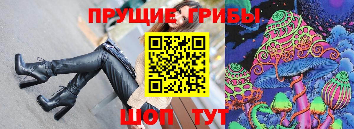 Галлюциногенные грибы Psilocybine cubensis Балашов