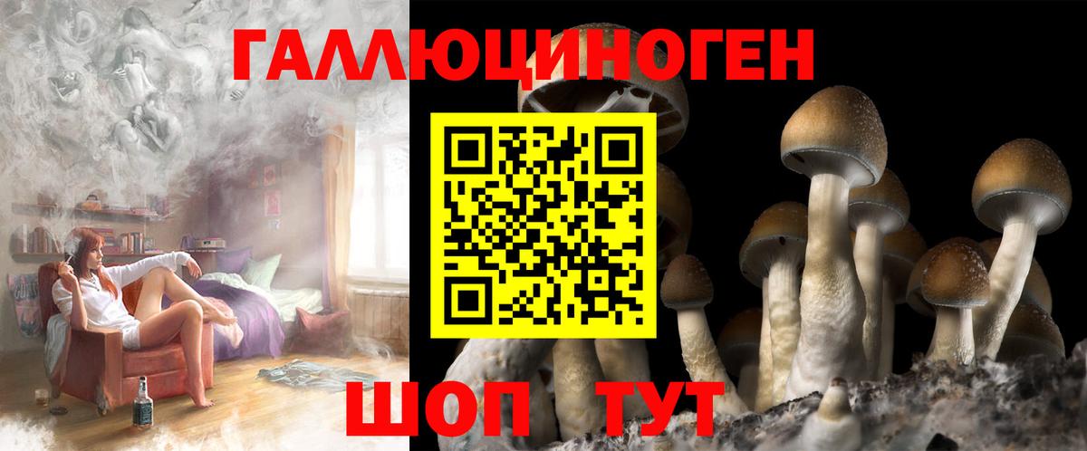 Балашов  Галлюциногенные грибы ЛСД  Вход с VPN 